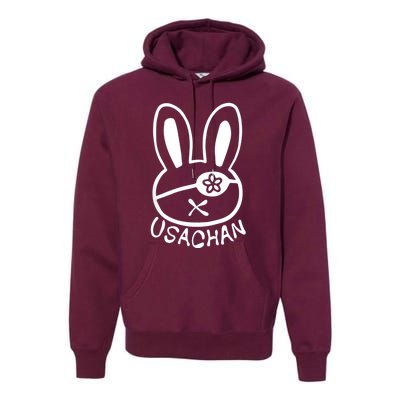 Buddha Usachan Battle Of Ragnarok Record Premium Hoodie