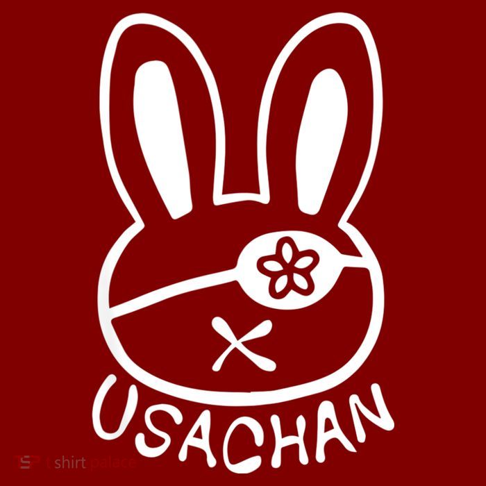 Buddha Usachan Battle Of Ragnarok Record Visor