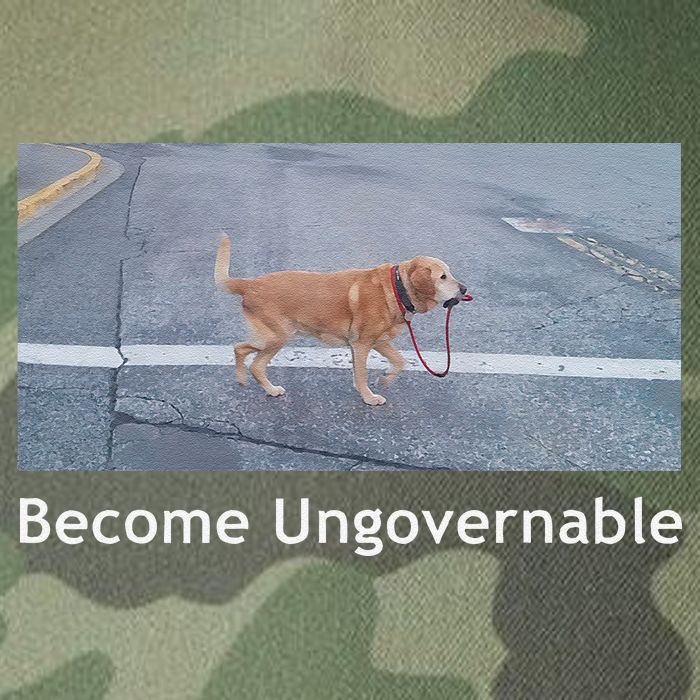 Become Ungovernable Funny Dog Meme Legacy Tie Dye Trucker Hat