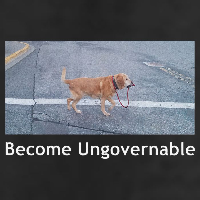 Become Ungovernable Funny Dog Meme Adult Drive Performance Visor