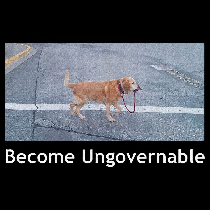 Become Ungovernable Funny Dog Meme Bucket Hat