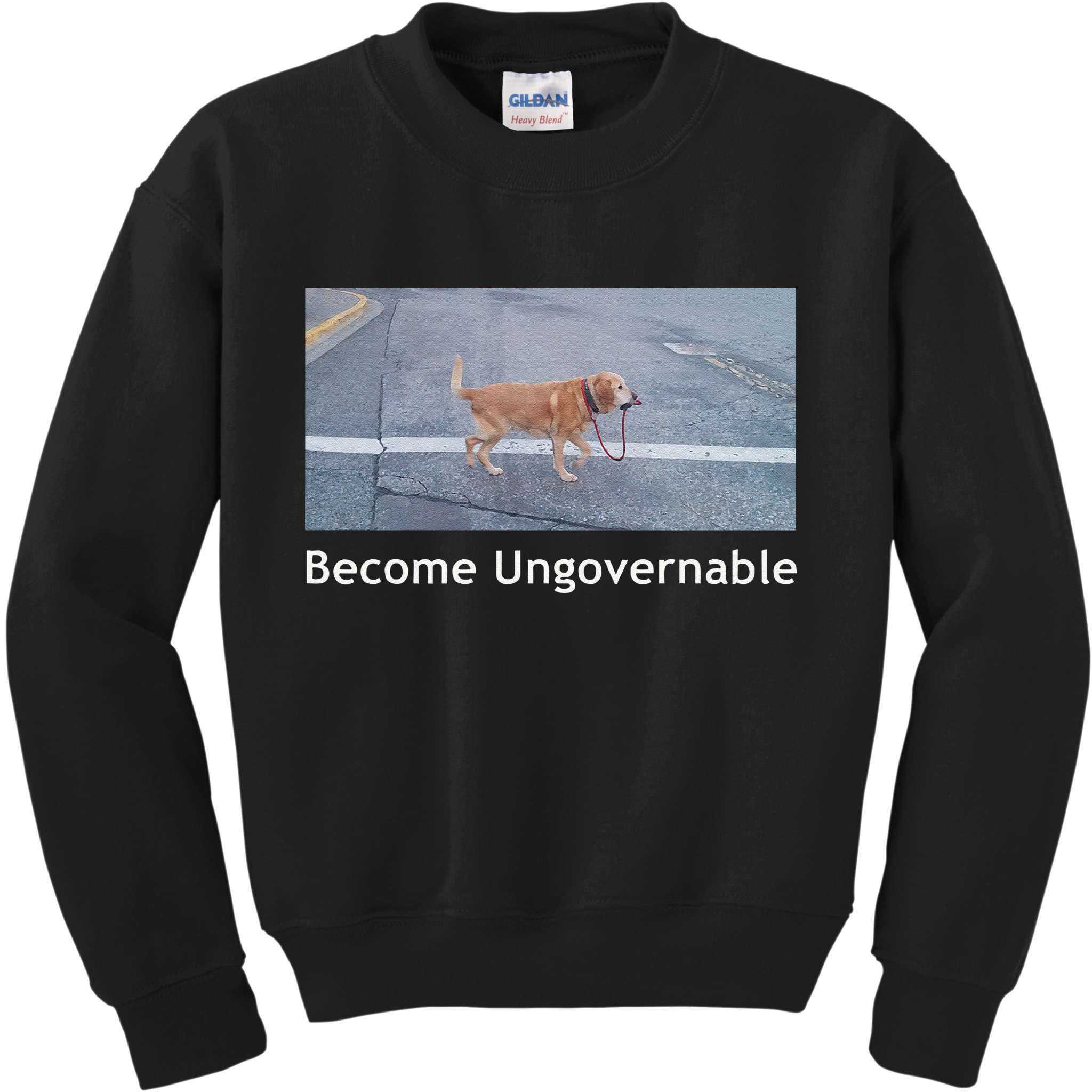 Become Ungovernable Funny Dog Meme Kids Sweatshirt
