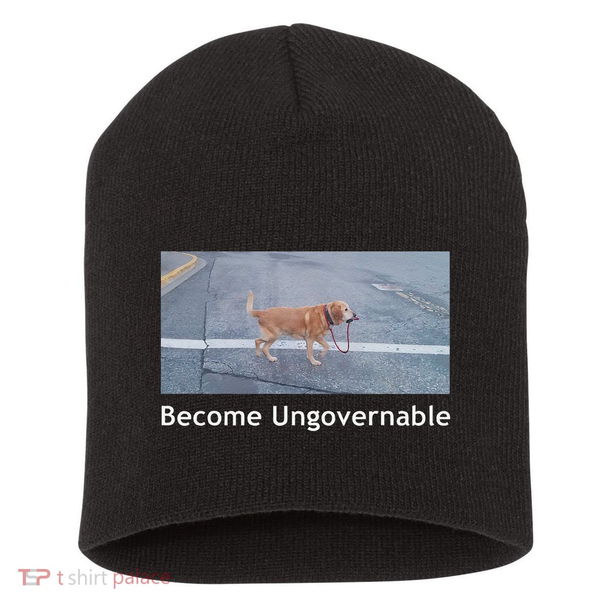 Become Ungovernable Funny Dog Meme Short Acrylic Beanie