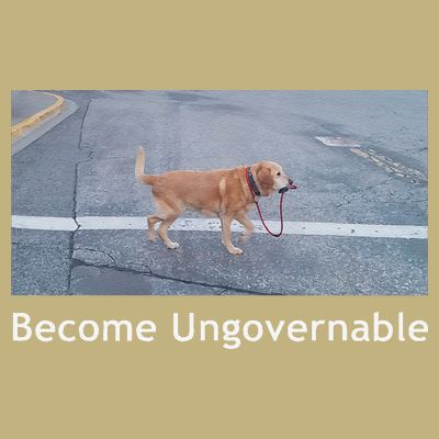 Become Ungovernable Funny Dog Meme T-Shirt