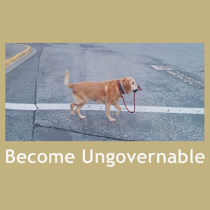 Become Ungovernable Funny Dog Meme Magnet