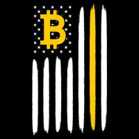 Bitcoin USA Flag Button