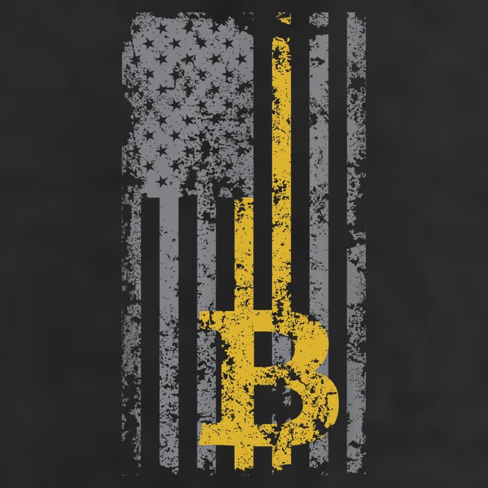 Bitcoin USA Flag Distressed Digital Currency Lover Tumbler
