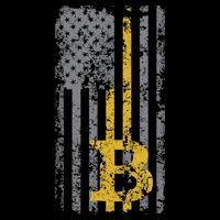 Bitcoin USA Flag Distressed Digital Currency Lover Wool Snapback Cap
