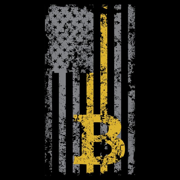 Bitcoin USA Flag Distressed Digital Currency Lover Wool Snapback Cap