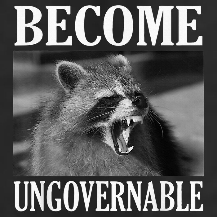Become Ungovernable Funny Raccoon Face Meme 15oz Campfire Ceramic Mug