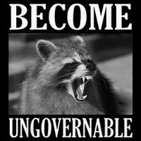 Become Ungovernable Funny Raccoon Face Meme Youth Performance Sprint T-Shirt