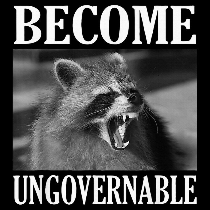 Become Ungovernable Funny Raccoon Face Meme Youth Performance Sprint T-Shirt