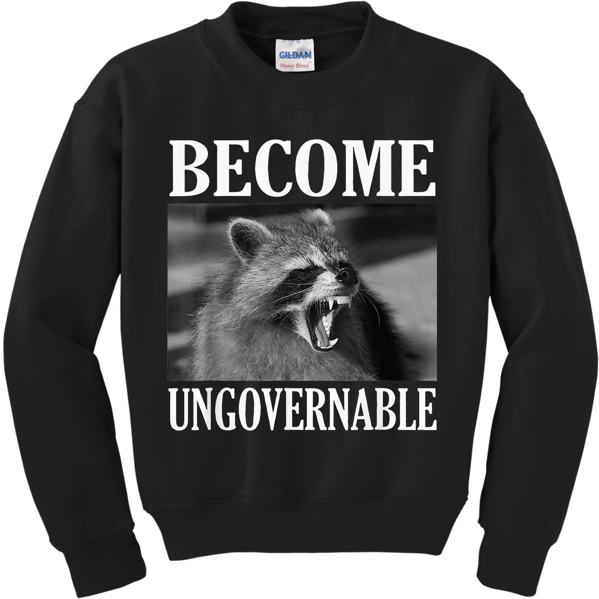 Become Ungovernable Funny Raccoon Face Meme Kids Sweatshirt
