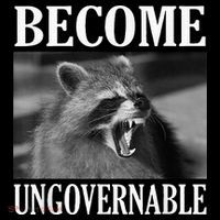 Become Ungovernable Funny Raccoon Face Meme Short Acrylic Beanie