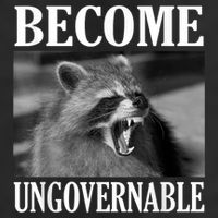 Become Ungovernable Funny Raccoon Face Meme Adult Drive Performance Visor