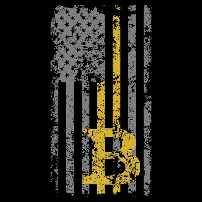 Bitcoin Usa Flag Distressed Digital Currency Lover Performance Shirt