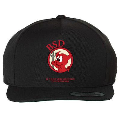 Bsd Unix Is User Friendly...Its Just Very Selective Of Its Friends Wool Snapback Cap