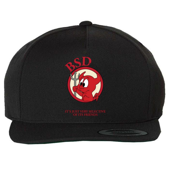 Bsd Unix Is User Friendly...Its Just Very Selective Of Its Friends Wool Snapback Cap