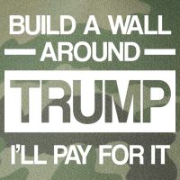 Build a Wall Around Trump I'll Pay For It Legacy Tie Dye Trucker Hat