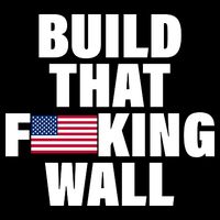 Build That F*cking Wall 16 in Basic Backpack