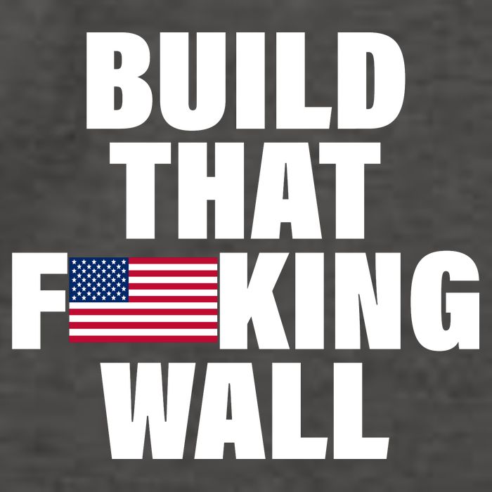 Build That F*cking Wall Vector Backpack