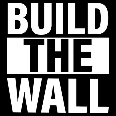 Build The Wall Box Logo T-Shirt