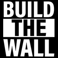 Build The Wall Box Logo Kids T-Shirt