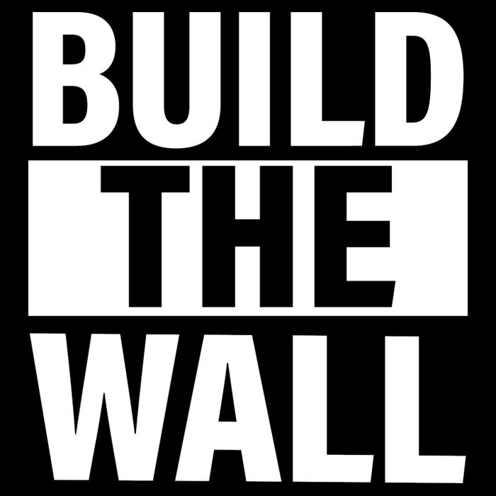 Build The Wall Box Logo Kids T-Shirt