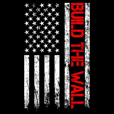 Build The Wall Distressed Flag T-Shirt