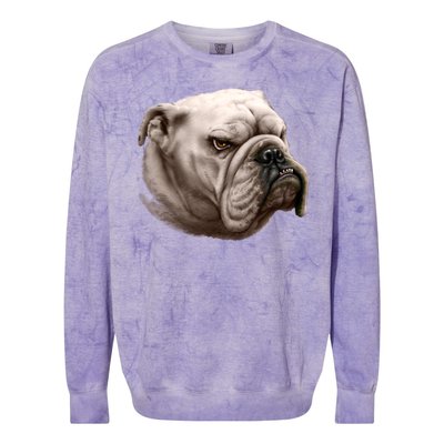 Bulldog Colorblast Crewneck Sweatshirt