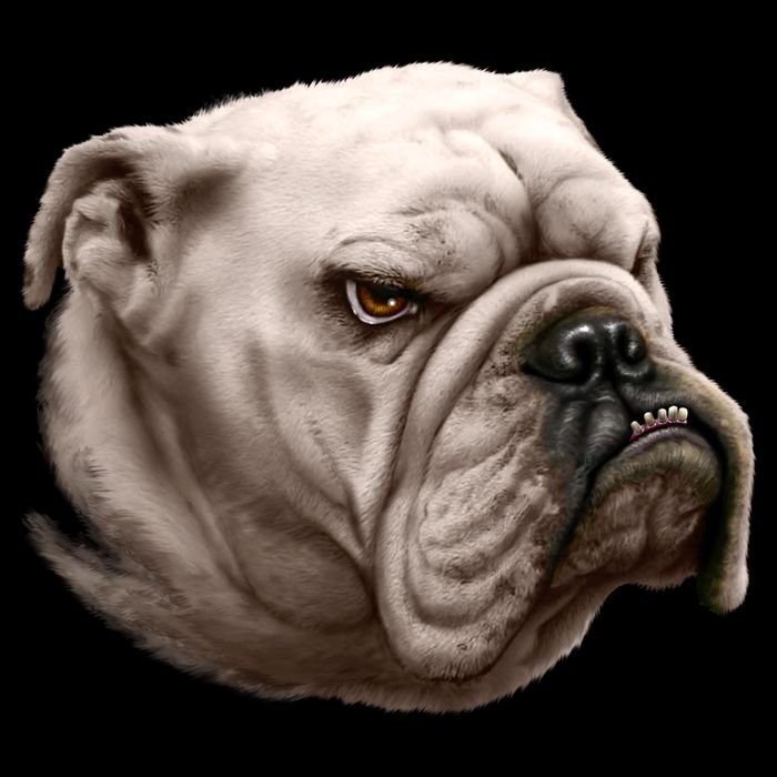 Bulldog Drawstring Bag