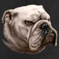 Bulldog 25L Jumbo Tote