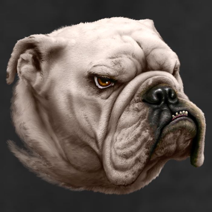 Bulldog 25L Jumbo Tote