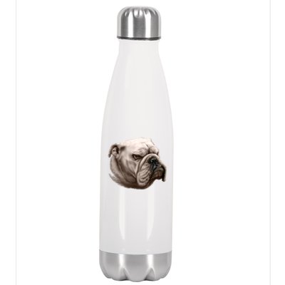 Bulldog Stainless Steel Insulated Water Bottle