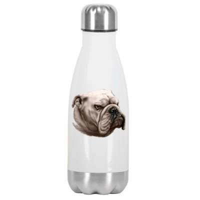 Bulldog Stainless Steel Insulated Water Bottle