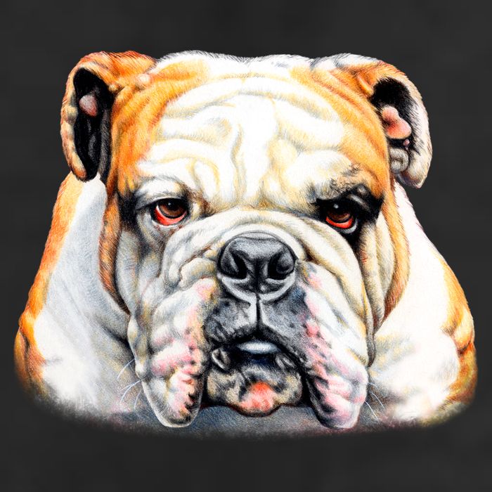 Bulldog Face Front Cool Comfort Performance Bucket Hat
