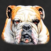 Bulldog Face Front Adult Drive Performance Visor