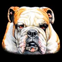 Bulldog Face Front Youth Performance Sprint T-Shirt