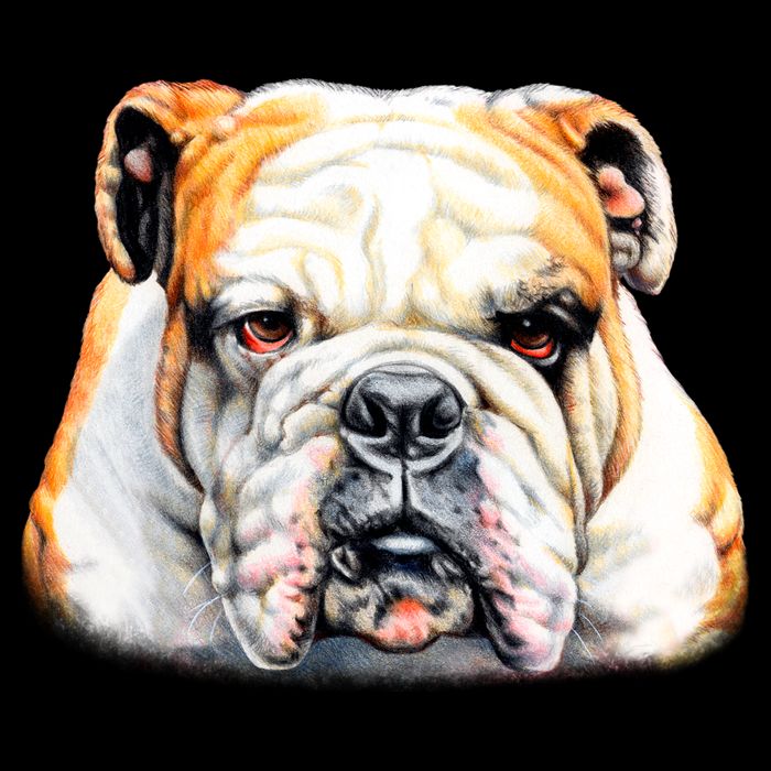 Bulldog Face Front Youth Performance Sprint T-Shirt