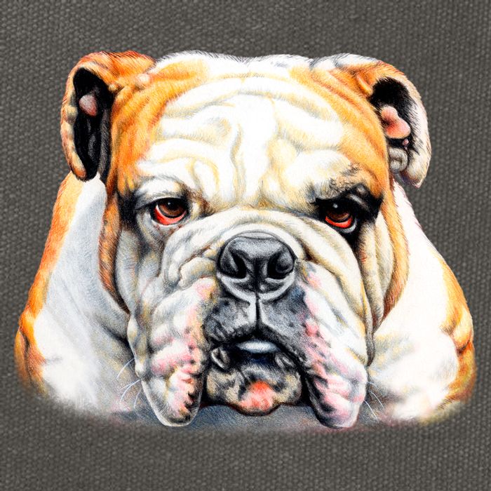Bulldog Face Front Cotton Canvas Backpack