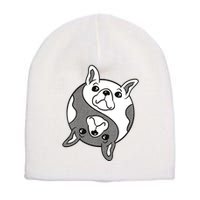 Bulldog Yin Yang  Short Acrylic Beanie