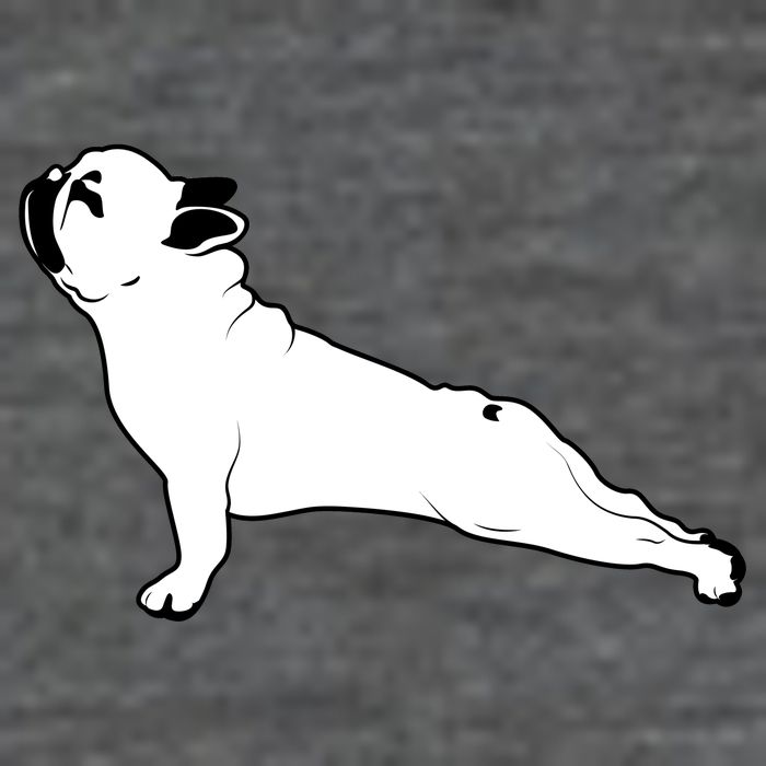 Bulldog Yoga Pose Flat Bill Trucker Hat