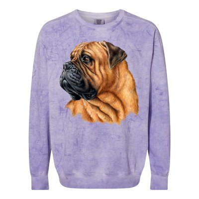 Bullmastiff Canine Dog Colorblast Crewneck Sweatshirt