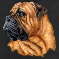 Bullmastiff Canine Dog 11oz C Handle Ceramic Mug