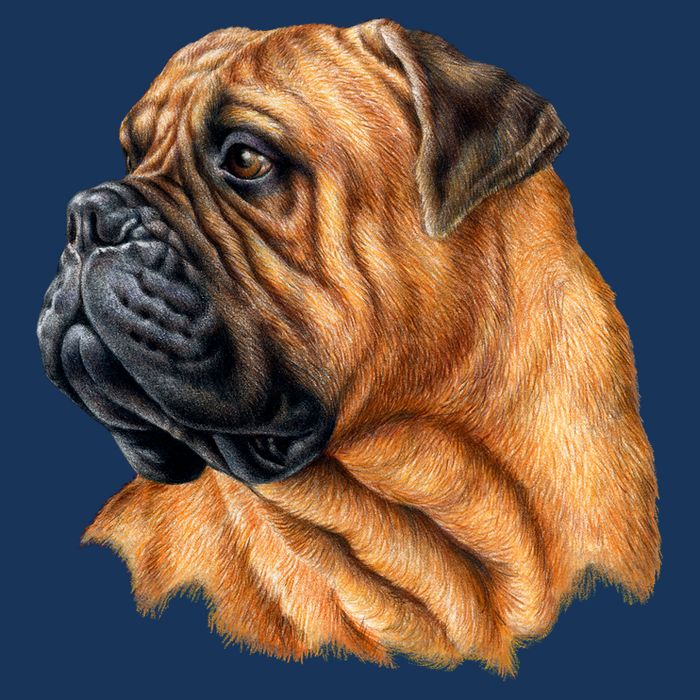 Bullmastiff Canine Dog Kids T-Shirt