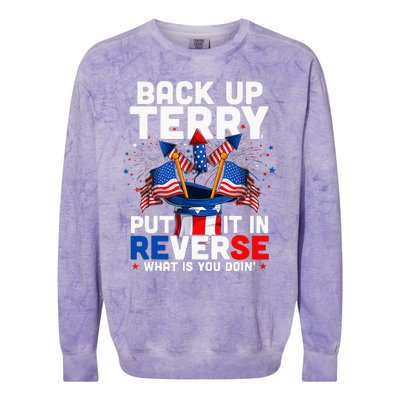 Back Up Terry Put It In Reverse Funny July 4th Firework Colorblast Crewneck Sweatshirt