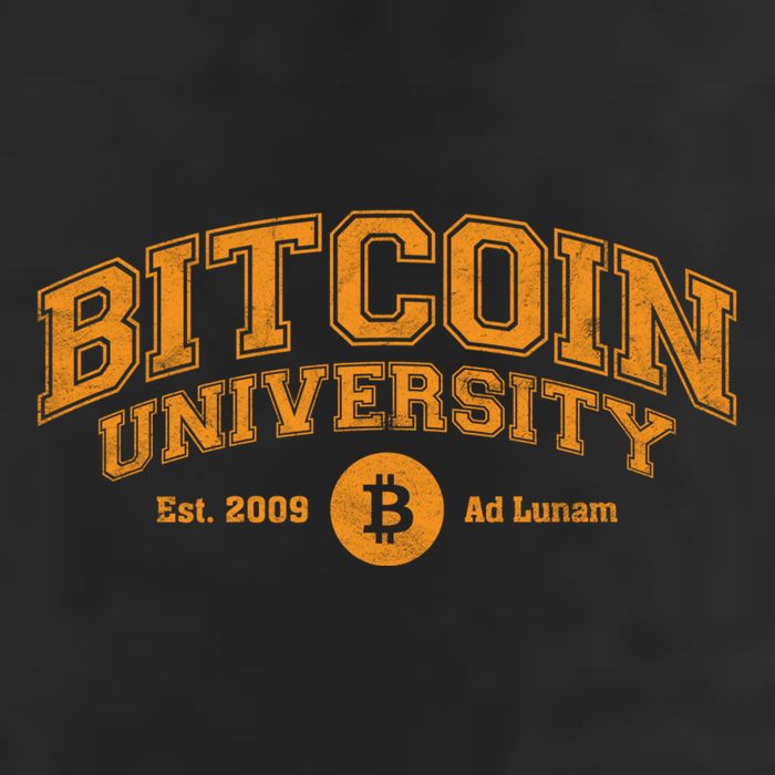 Bitcoin University To The Moon, Funny Distressed College BTC 15oz Campfire Ceramic Mug