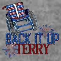 Back Up Terry Put It In Reverse Firework 4th Of July Groovy 7-Panel Snapback Hat