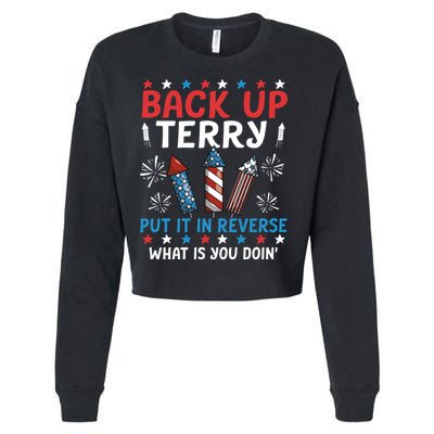 Back Up Terry Put It In Reverse July 4th Of July Fireworks Cropped Pullover Crew