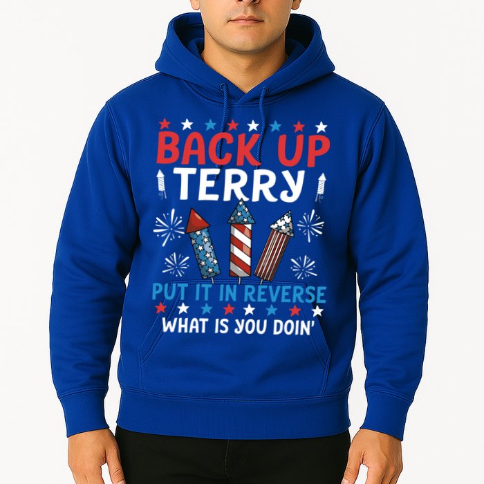 Back Up Terry Put It In Reverse July 4th Of July Fireworks Hoodie